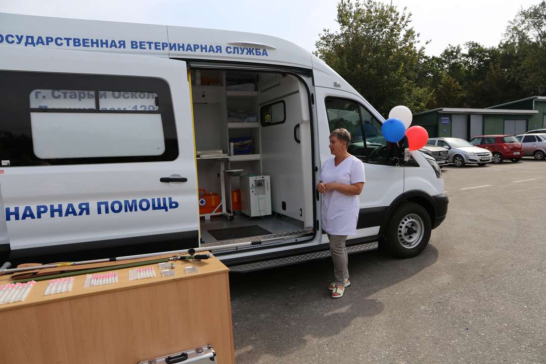 Ветстанция старый оскол. Управление ветеринарии. Огау ветстанция по старооскольскому городскому округу, старый оскол. Городская ветстанция старый оскол. Ветстанция старый оскол.