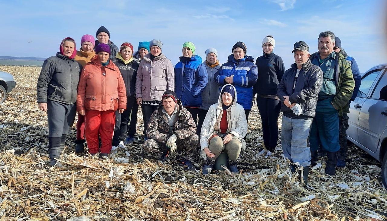 Проект зеленая столица в белгородской области