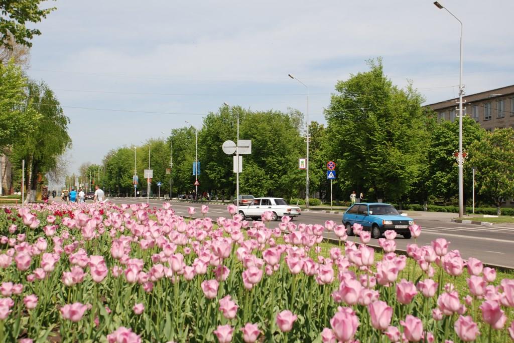 Индекс г губкинского. Город Губкин в России. Природа города Губкин.