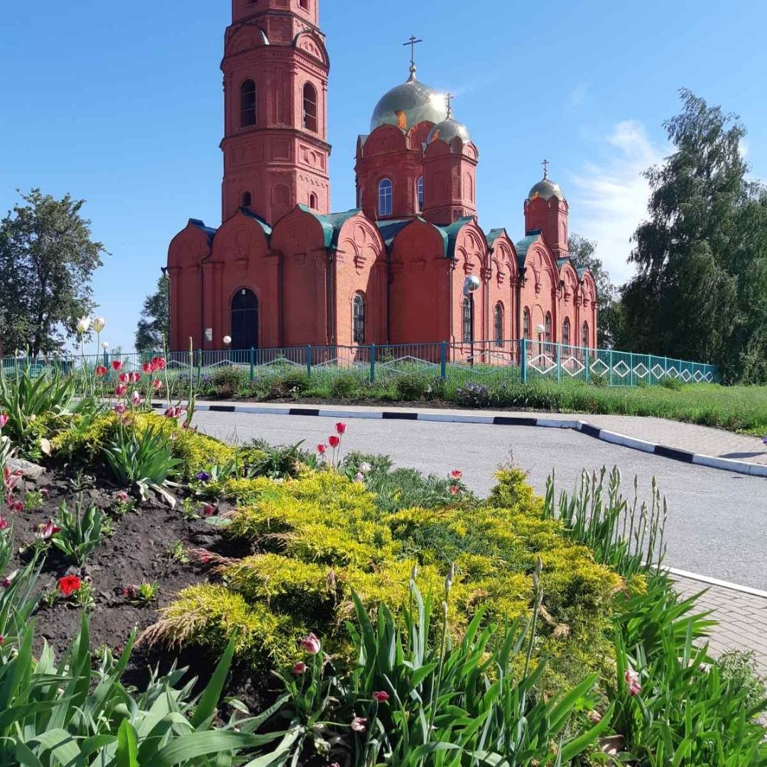 Шебекино сегодня фото