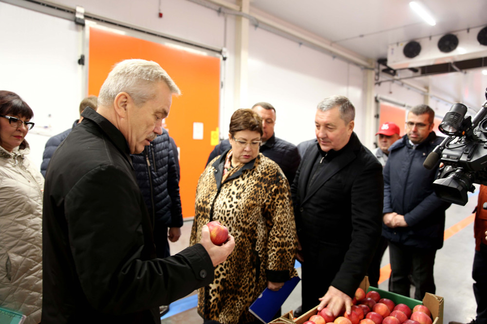 Погода луханино белгородская область