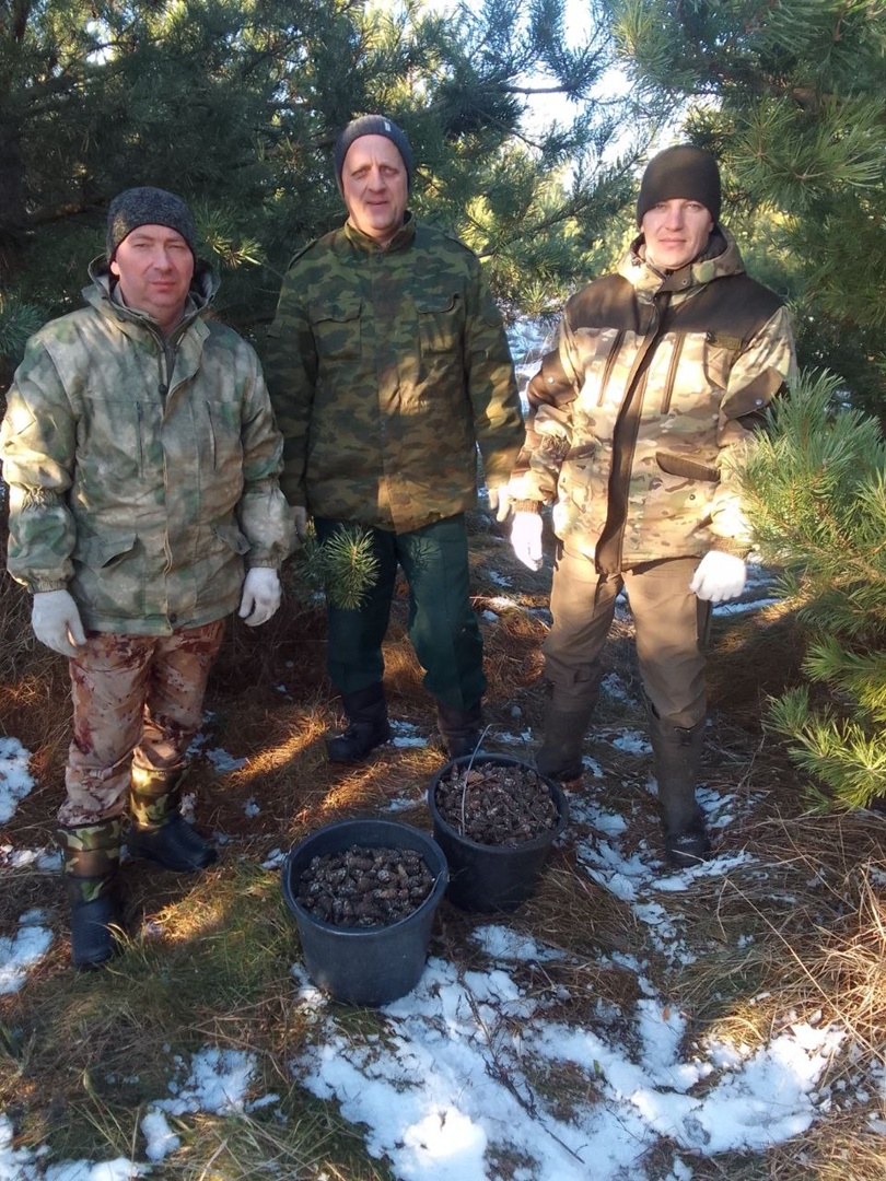 Мимимишки 191 серия. Мимимишки карусель телеканал. Мимимишки 63 серия. Прогулка в лесу шишки. Ми-ми-мишки 25 серия.