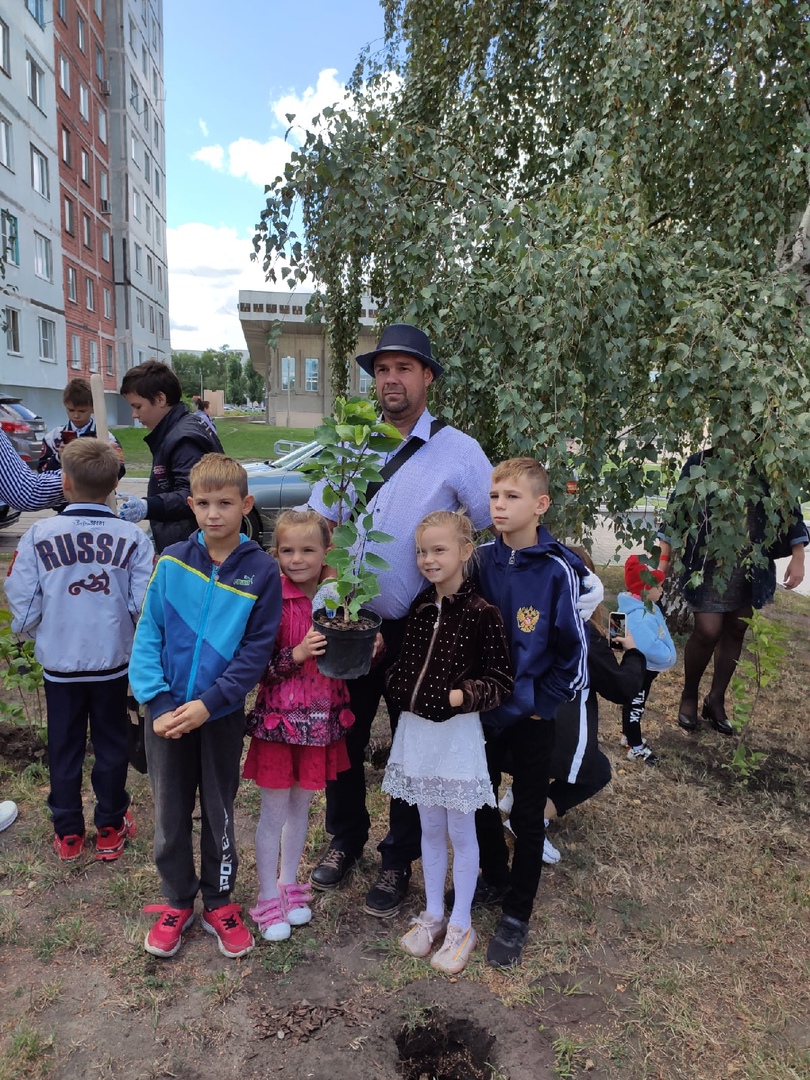 В Старом Осколе появилась сиреневая аллея «Материнской славы» | 06.09.2021  | Белгород - БезФормата